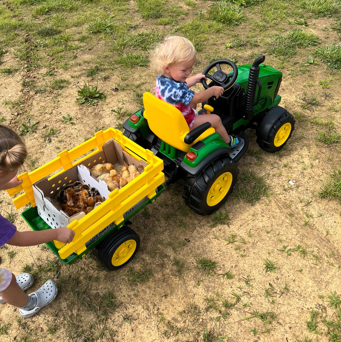 RomanAtwood's tweet photo. Dudes already a chic magnet! https://t.co/3zU8QB28cQ