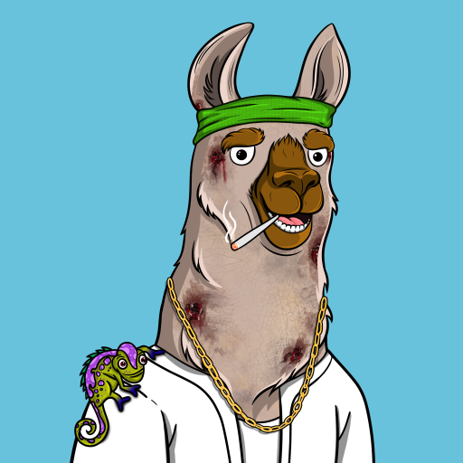 TheAlpacalypse7's tweet photo. This Dude Just go jumped, Take Care it's scary out there.!

#blockchain #digitalartist #collectibles #nfts #metaverse #thealpacalpyse https://t.co/lU8Ny2b5De