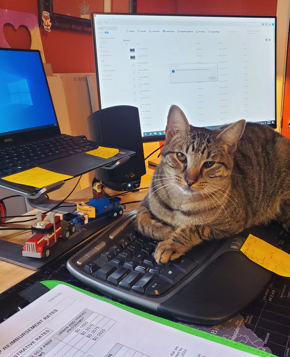 All friends on deck! IABGC staff, <a href="/AmeriCorps/">AmeriCorps</a> members, #NoKidHungry Youth Ambassadors, Clubs &amp; our furry friend, Lopez worked together to feed youth at 20 different Indiana Clubs in June! Working together ensures youth have full stomachs and enriching experiences. 
#Nokidhungry