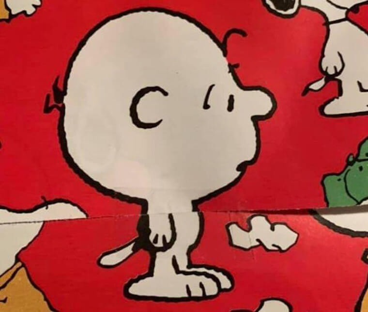 RAlternativa's tweet photo. Curiosidade: Charlie Brown, é um garoto azarado e melancólico. No Brasil, tem o apelido de "Minduim"
#TurmaDoSnoopy
#CharlieBrown
#Minduim https://t.co/bJmIF6pj8I