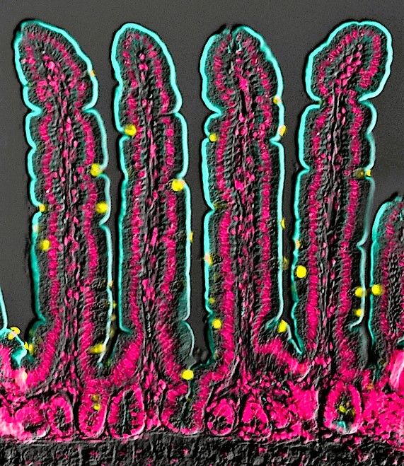 Amy Engevik tweet media