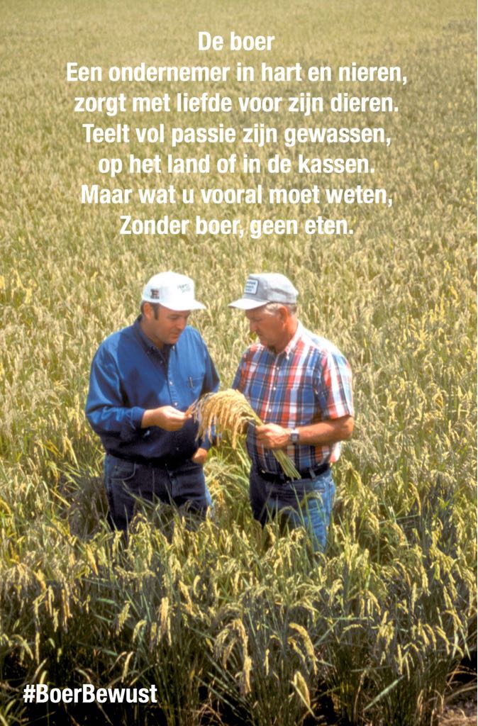 #boereninopstand