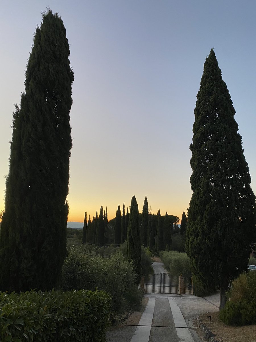 Nils Forsberg (@nilsforsberg) on Twitter photo 