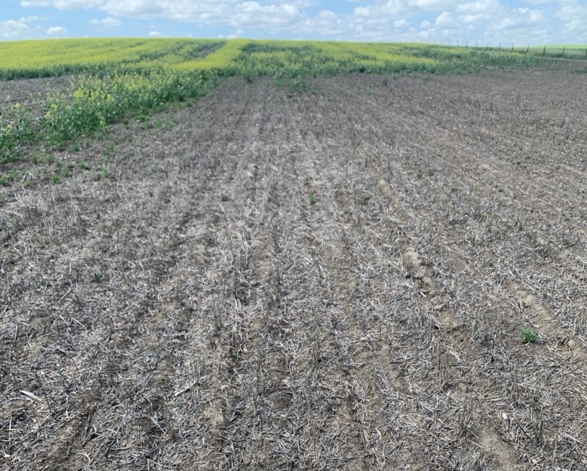 FE_SPrairies's tweet photo. This @farmers_edge crop health alert map is showing the areas affected by gopher damage in this field to a T! 
These alerts can be sent right to your email and include overall acreage affected on each field. #FEagronomy https://t.co/VJNCA0ENkp