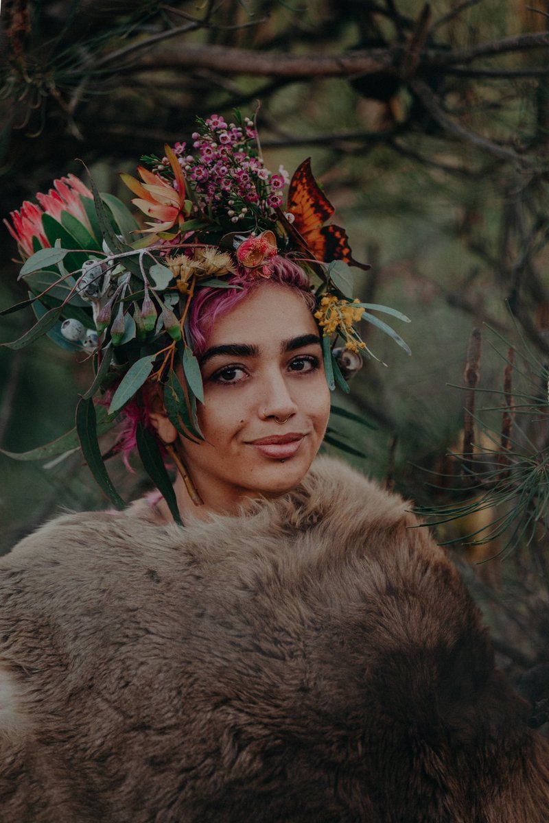 Instagram tweet media