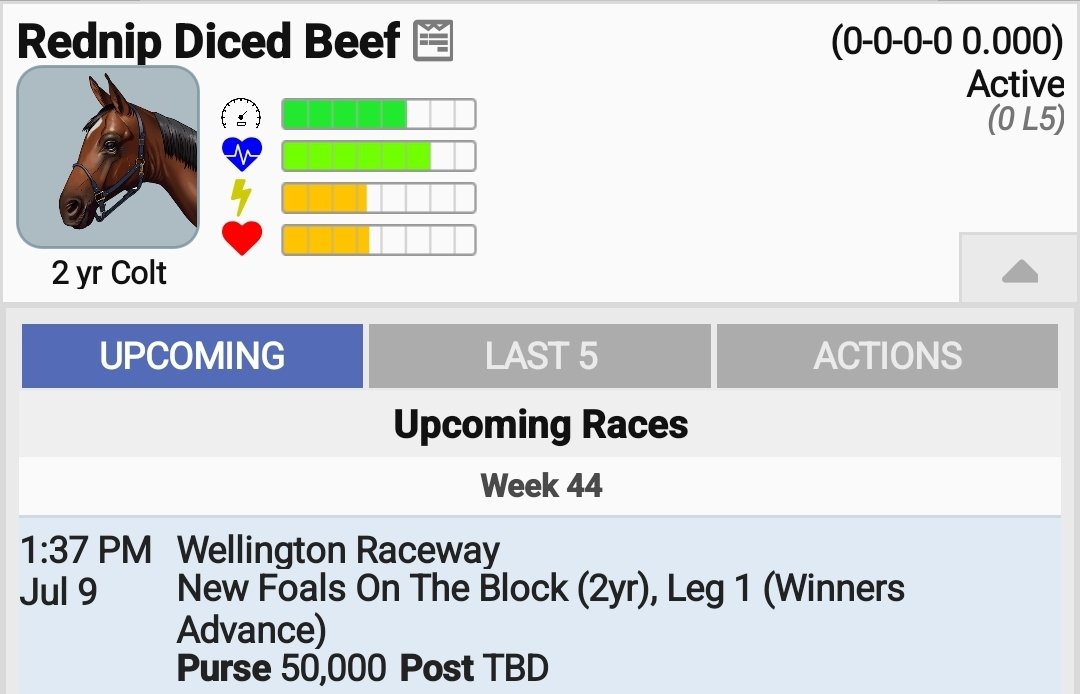 The Flying Gnome 🇳🇿 tweet media