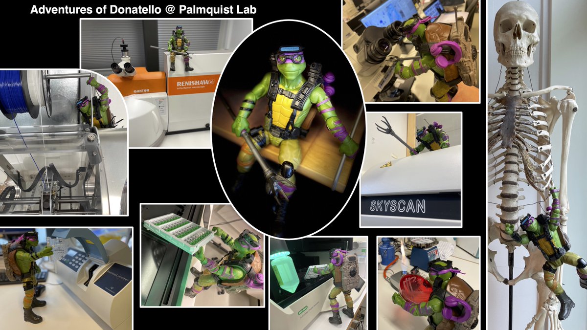 Recently, Donatello of <a href="/TMNT/">TMNT</a> visited Palmquist Lab and participated in various fun activities – including hanging out with Don Skelett the skeleton!

#science #biomaterials #spectroscopy #Microscopy #microbiology #PCR #Biology #Chemistry #Physics  #3Dprinting #materials