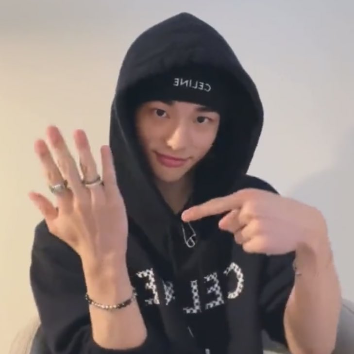 lixiepouty's tweet photo. this felix:                          this hyunjin: https://t.co/70kO4vEafO