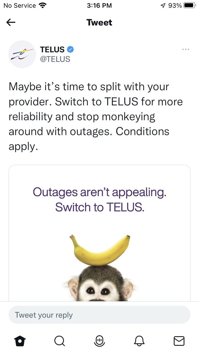 ShayeGanam's tweet photo. This is some cold blooded business right here. Real eye of the tiger stuff. https://t.co/ziW4IenZYD