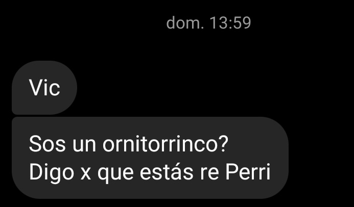 JAJAJAJAJJ FUE EL CHAMUYO MÁS RANDOM Q ME DIJERON