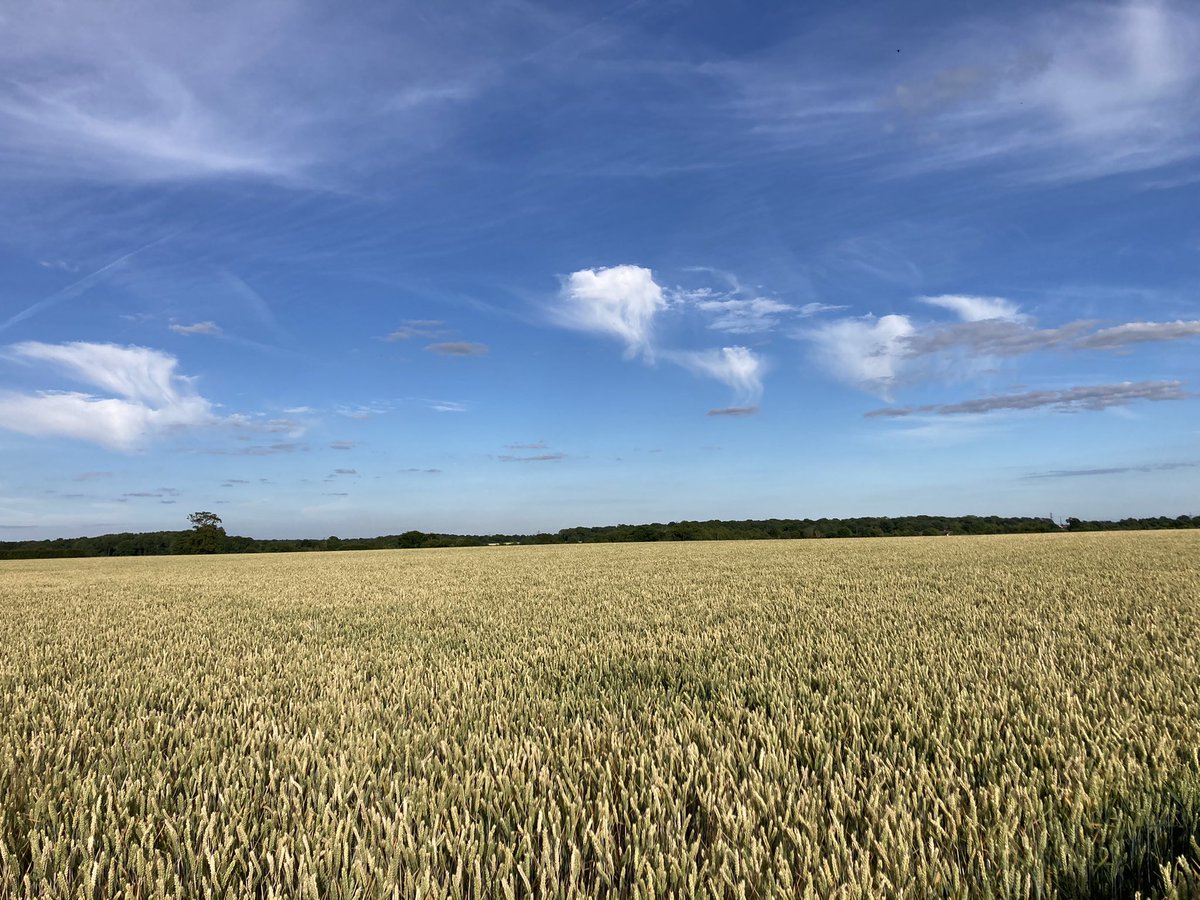 Covenbrook tweet media