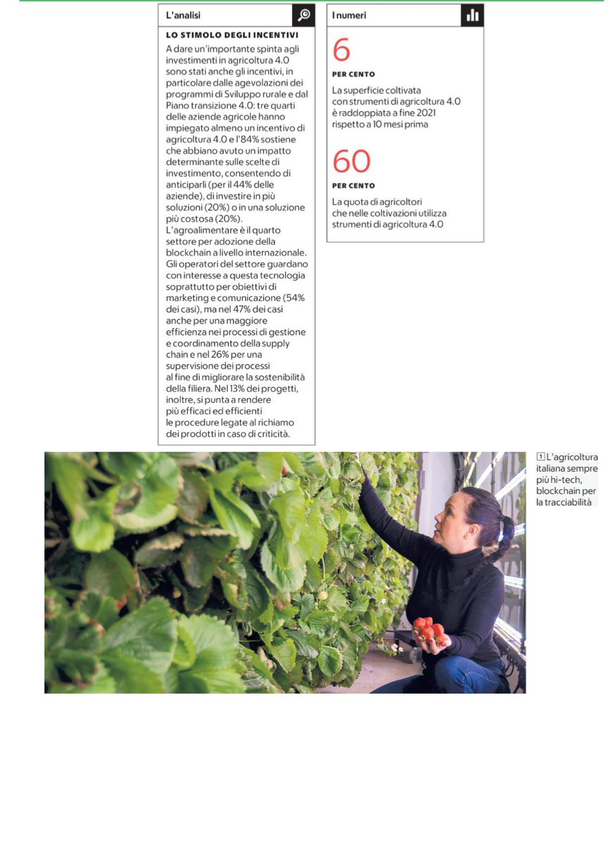 LuisB's tweet photo. La #blockchain strumento ideale per tracciare l’#agricoltura. Sono 1,6 mld di #euro gli #investimenti in agricoltura 4.0 nel 2021 dopo anni di crescita continua. | #agricoltori #tecnologia #innovazione #startup #IoT #5G #agrifood #techfood #smartfarm #agricoltura40 https://t.co/bFnqZGXRTF