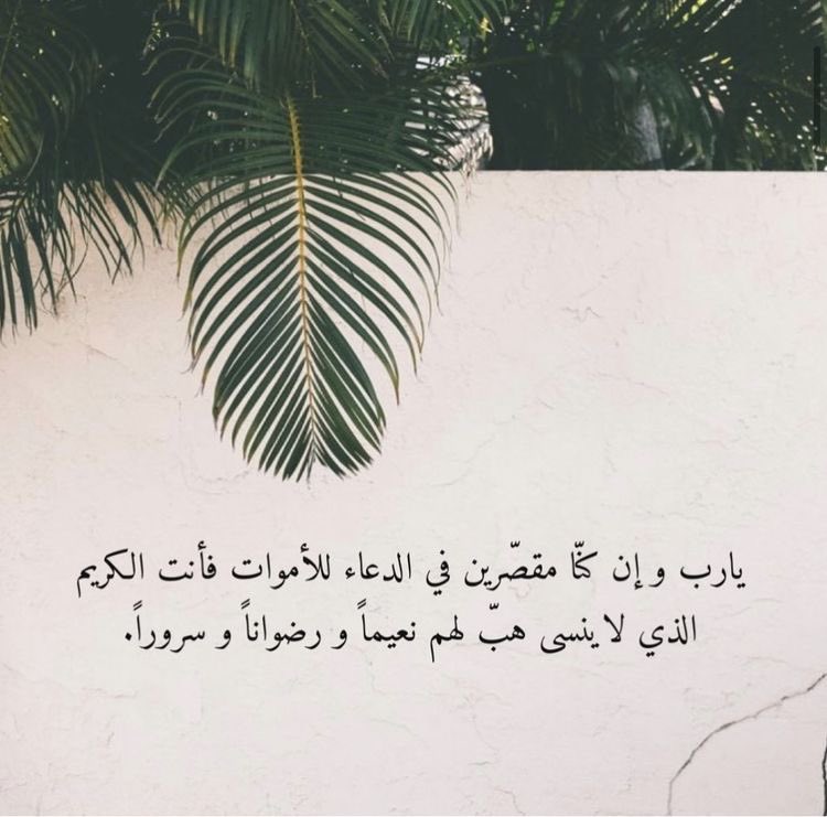 iNaFNaFi's tweet photo. 🙏🏾 https://t.co/3qZDGCS61o