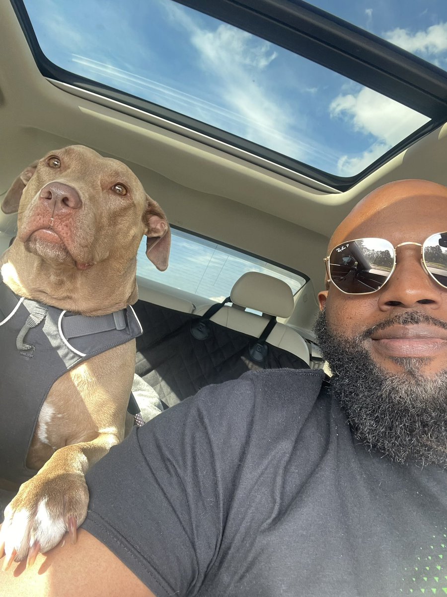 Pascahl_'s tweet photo. @WFOCare Virtual dog walks with Josie since N.Texas is 106° with a heat index of 112°🥵 #LifeAtATT #WFOCares https://t.co/ZuqVD0FcLx