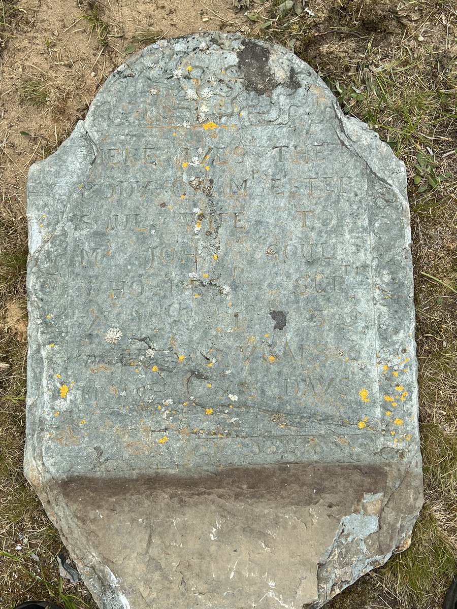 PorgiBreeder's tweet photo. Did a private restoration job recently! https://t.co/CFBGG9gWqo