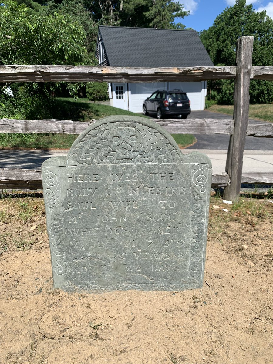 PorgiBreeder's tweet photo. Did a private restoration job recently! https://t.co/CFBGG9gWqo