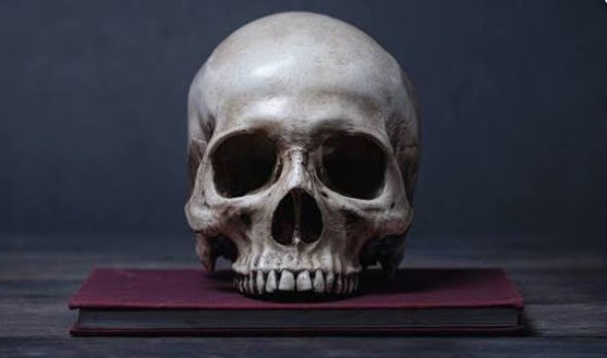 HoodDavey's tweet photo. Do not be disappointed if your faith is not strong enough to free you from all fears. Remember that it will save you from hell.
#hell
#punkrockproverbs https://t.co/KnYpeByILA