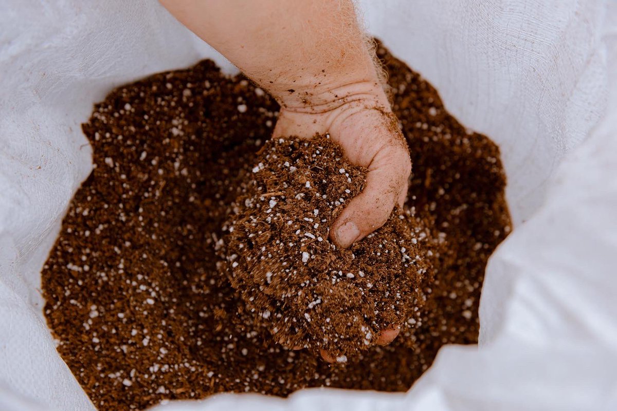 wurmworks's tweet photo. Do you have #plantprojects going on? Well, we have tons of fresh mixed #pottingsoil ready to help you #grow successfully! Grab a bag and a jug of extract tomorrow at the @msfarmersmarket to make sure that your #plants grow #happy and #healthy and #chemicalfree!
#gogreen https://t.co/ChbSmzIJRR