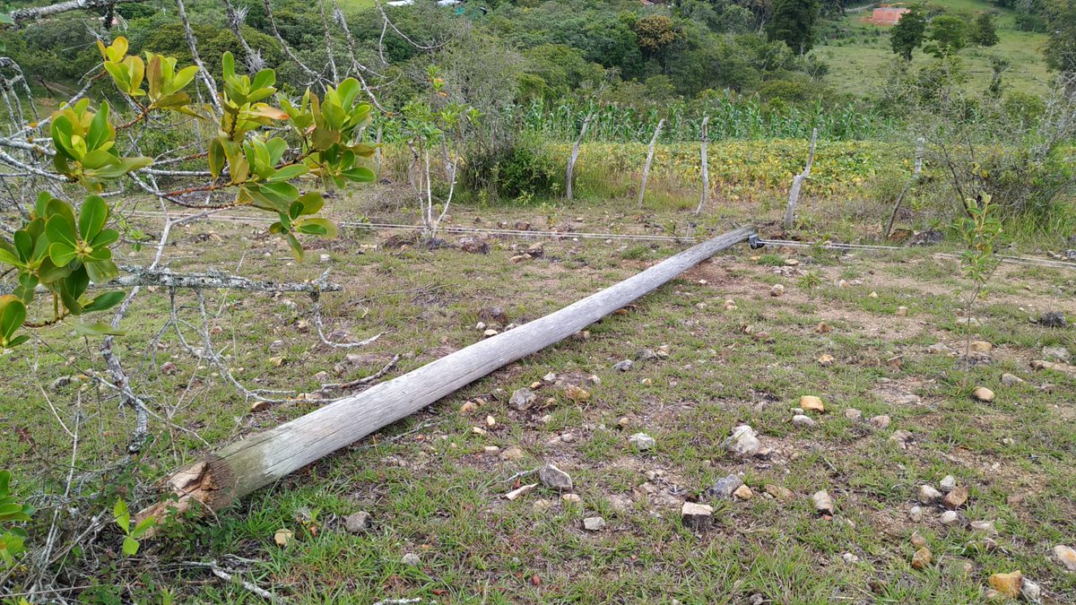 SanmaShapes's tweet photo. @ESSAGrupoEPM van 48 hrs sin luz. Ayer a esta hora la cuadrilla vino a tomar fotos y a decir que venían "x ahí el sábado" "porque tienen mucho trabajo" Uds responden x la comida perdida y los daños a las flias afectadas? Hasta cuándo van a seguir menospreciando a los campesinos? https://t.co/er14ogCFr3