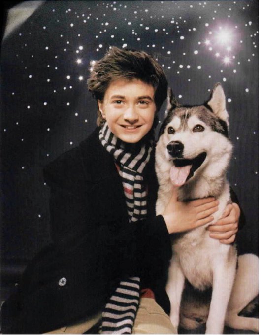Dan Radcliffe Japanさん がハッシュタグ ダニエルラドクリフ をつけたツイート一覧 5 Whotwi グラフィカルtwitter分析