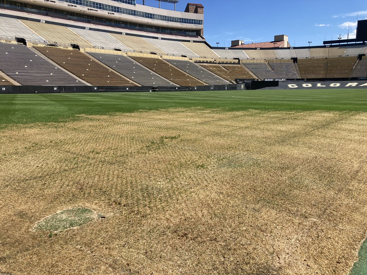 CUBuffsTurf's tweet photo. Double cut and Folsom is ready for the weekend as the #TopGolfLive targets fade and the corners are growing in after @deadandcompany concerts. Eight weeks until @CUBuffsFootball home opener. #GoBuffs #Team1stClass #DominateDetails #AttitudeAndEffort #5Ps https://t.co/lb7pxtxf5n