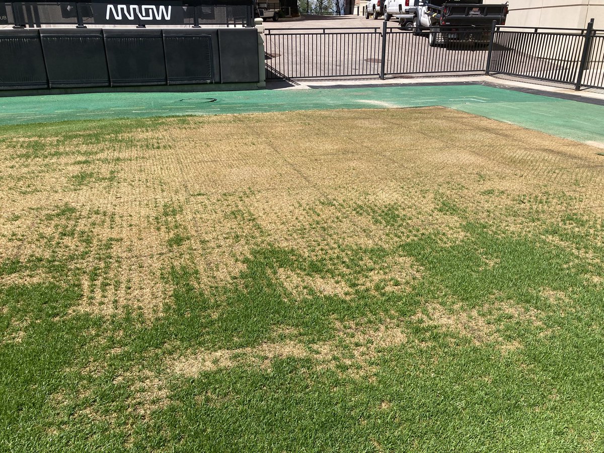 CUBuffsTurf's tweet photo. Double cut and Folsom is ready for the weekend as the #TopGolfLive targets fade and the corners are growing in after @deadandcompany concerts. Eight weeks until @CUBuffsFootball home opener. #GoBuffs #Team1stClass #DominateDetails #AttitudeAndEffort #5Ps https://t.co/lb7pxtxf5n