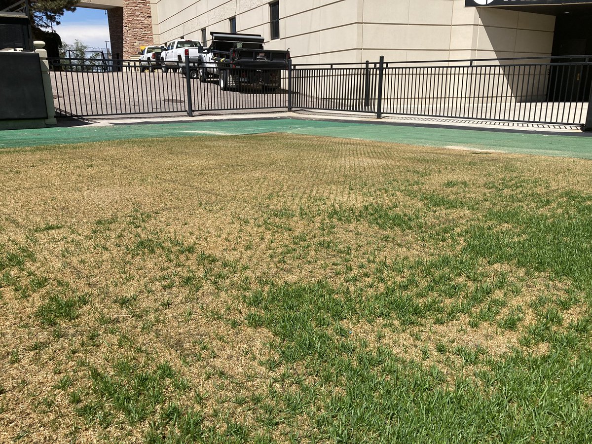 CUBuffsTurf's tweet photo. Double cut and Folsom is ready for the weekend as the #TopGolfLive targets fade and the corners are growing in after @deadandcompany concerts. Eight weeks until @CUBuffsFootball home opener. #GoBuffs #Team1stClass #DominateDetails #AttitudeAndEffort #5Ps https://t.co/lb7pxtxf5n