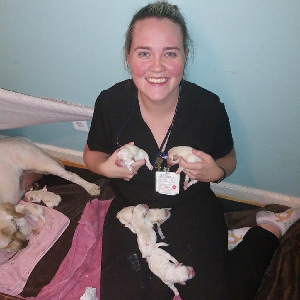 ro_ritter's tweet photo. @wearfigs are the best scrubs because their pockets are puppy sized. https://t.co/szLv94F9sX