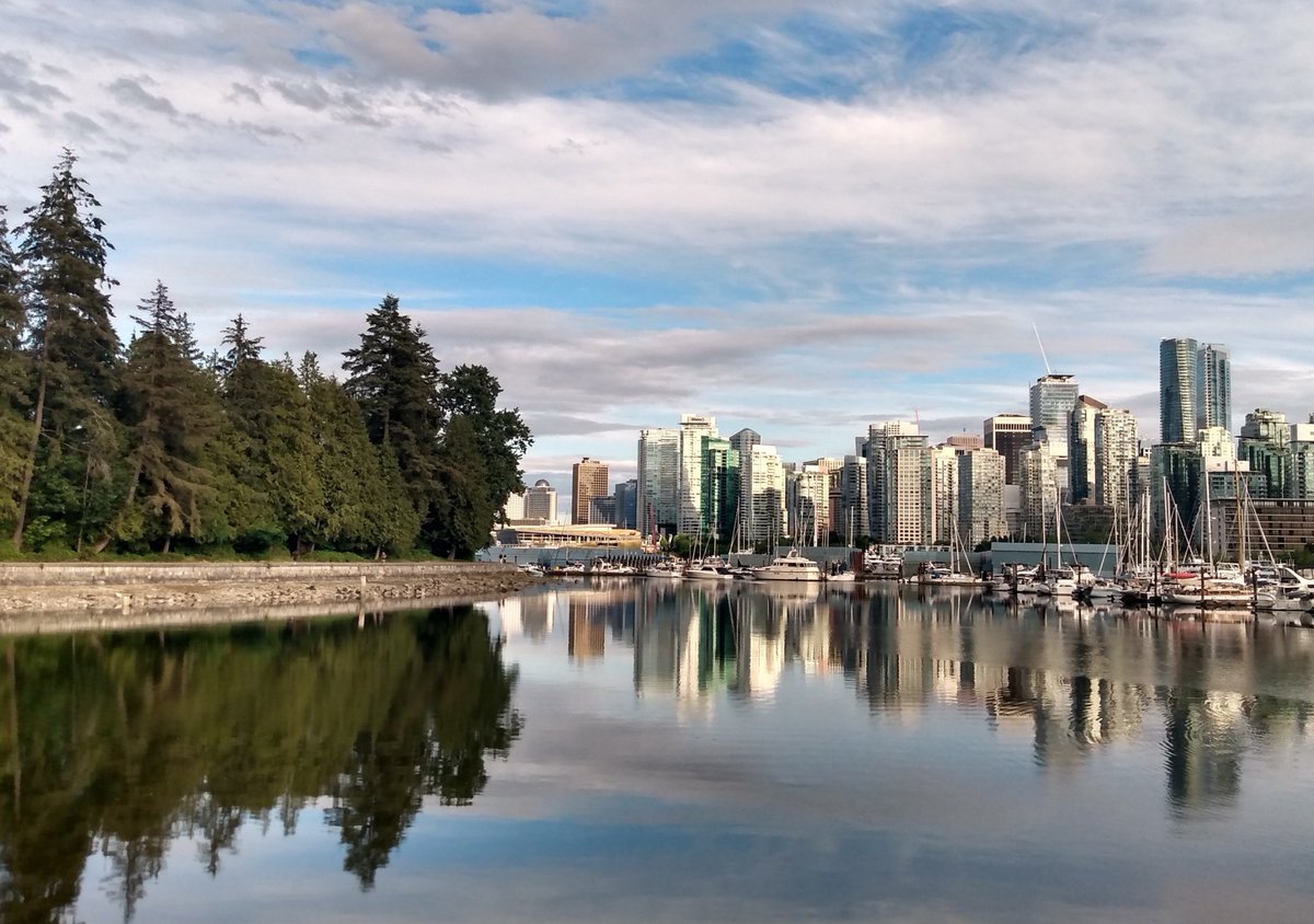 Rita_Calixto's tweet photo. What a wonderful week in Vancouver full of great science! #WATOC2020 #compchem https://t.co/o47Lqri3T6