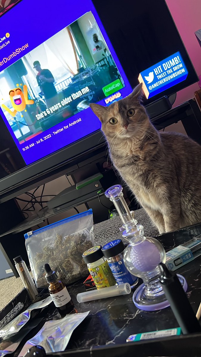 Mcat2886's tweet photo. @AnotherDumbShow #Issue18 Happy Friday! https://t.co/5aVTOJwsON
