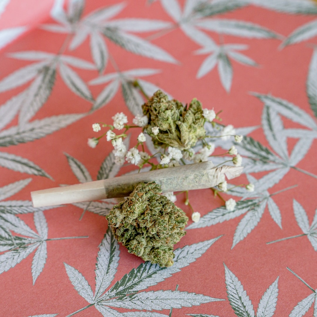 broscannabis's tweet photo. Save 15% off ALL infused joints at our Sellwood District while supplies last!! 
.
.
.
.
.
#503 #50tree #cannaqueen #pdxweed #dispo #cannabiscommunity #weedfunny #weeddeals #newdispensary #munchies #420sale #4202022 #420 #420deals https://t.co/UXR2y77MR9