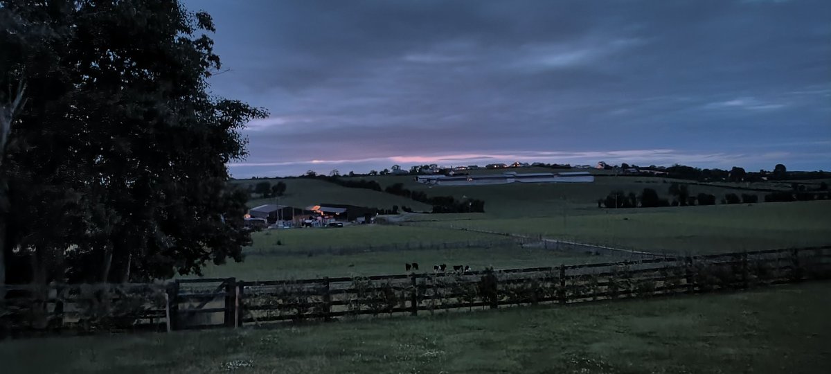 CallansCows's tweet photo. Sitting outside this evening trying to digest all the info from our 2 days in the UK visiting some top class unit. Great learnings from a diverse group of farmers. Looking forward to implementing some changes in the future 👌 #TeamDairy #SmartFarming https://t.co/gmlUQaRHty
