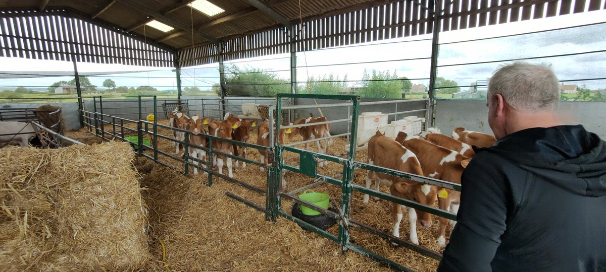 CallansCows's tweet photo. Sitting outside this evening trying to digest all the info from our 2 days in the UK visiting some top class unit. Great learnings from a diverse group of farmers. Looking forward to implementing some changes in the future 👌 #TeamDairy #SmartFarming https://t.co/gmlUQaRHty