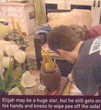 fairyinsanity's tweet photo. @VerchielMarch @benwyattstownc elijah may be a huge star! but he still gets on his hands and knees to wipe pee off the sofa! https://t.co/Kt8Q1r3IHJ