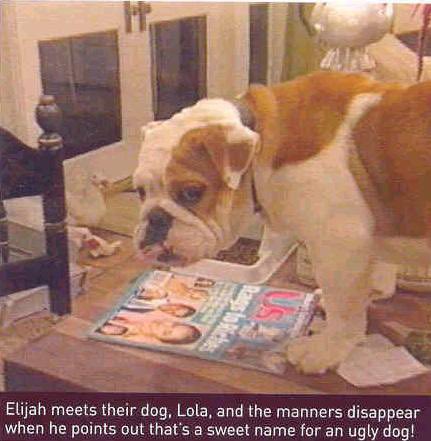 fairyinsanity's tweet photo. @VerchielMarch @benwyattstownc elijah may be a huge star! but he still gets on his hands and knees to wipe pee off the sofa! https://t.co/Kt8Q1r3IHJ