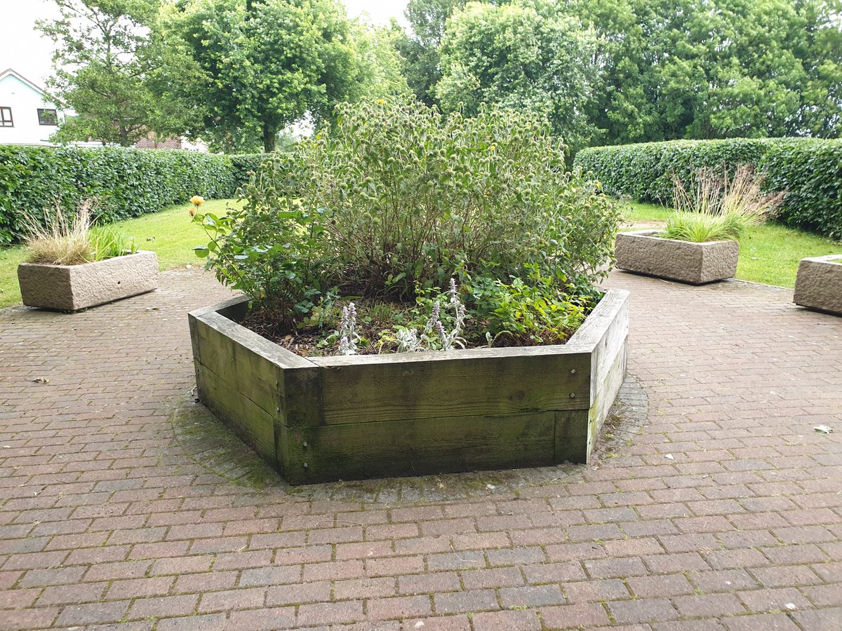 Middleton In Bloom tweet media