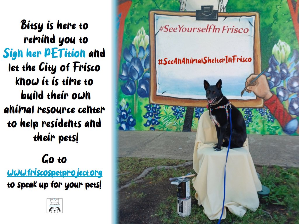 FriscoTXPets's tweet photo. Bitsy here to remind you to Sign her PETition for Frisco, TX to build an animal shelter! Go to https://t.co/yk1fhqEW6y.
#buildfriscotxshelter, #friscoimportant, #friscotx, #friscomom, #seeananimalshelterinfrisco https://t.co/BRXuKJDbGB