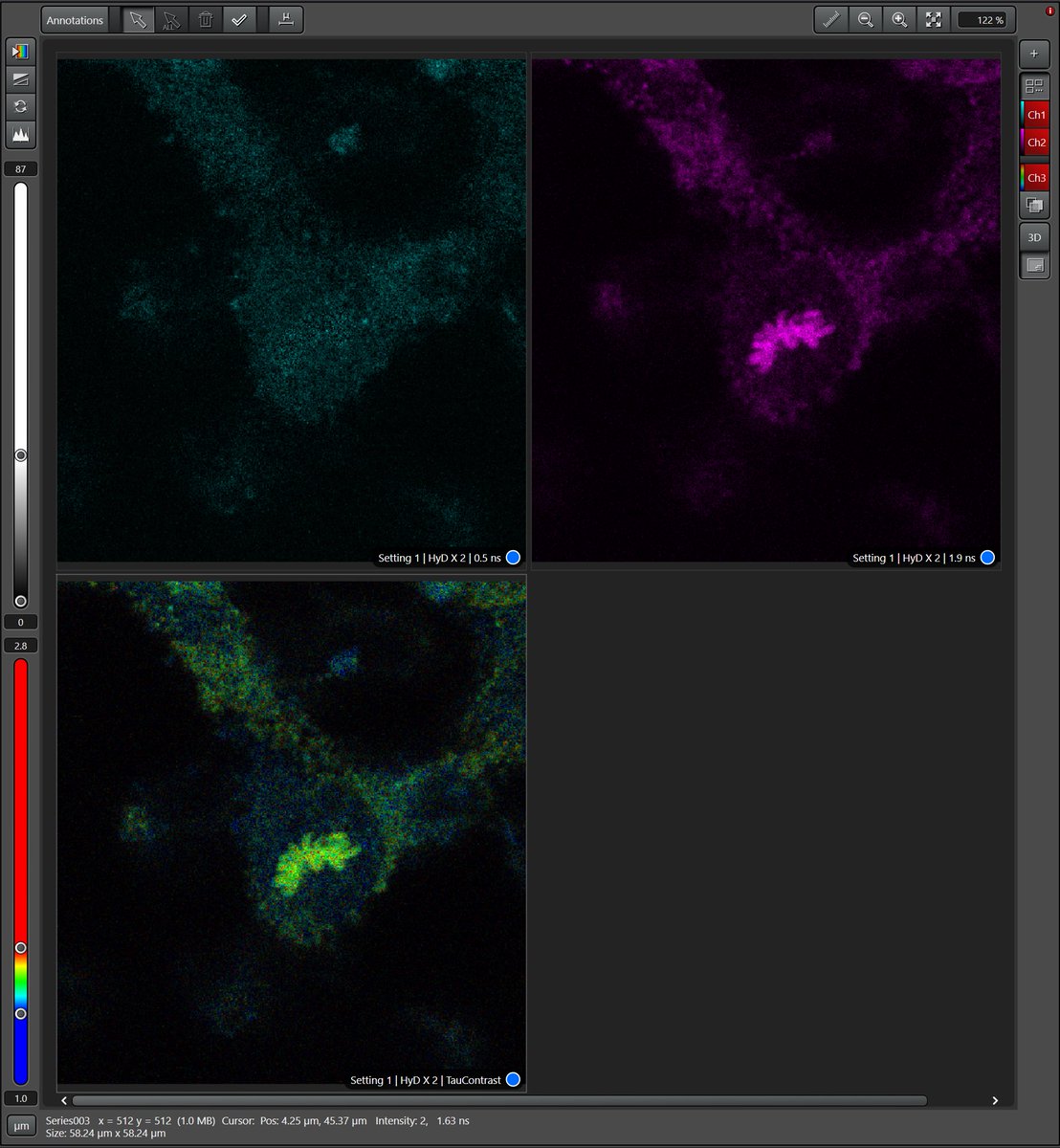 Happy #FluorescenceFriday !
Thank you <a href="/LeicaMicro/">Leica Microsystems</a> for this week’s Stellaris 8 demo, several researchers had the chance to test out the flexibility of the white light laser and spectral detection, as well as the innovative TauSense features!