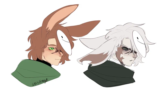 rabbit dream 
#dreamfanart 