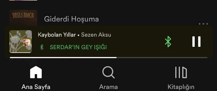 tam dertleneyim dedim, gözüm bluetooth adına takıldı <a href="/serdarcanoglu_/">Serdar</a>
