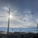 ツイートに含まれる画像