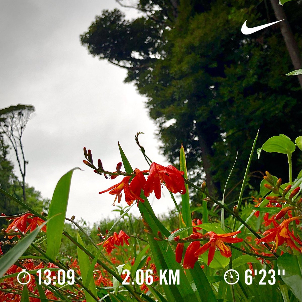 tgqit's tweet photo. いろんなことがある
整えていかねば 🕊
#朝ラン
#running
#せめて少しでも🏃♀️
#Decition
#ReN https://t.co/AXxdLEncNA