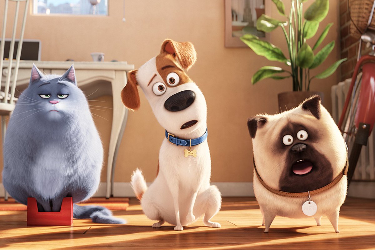 The Secret Life of Pets, directed by Chris Renaud and featuring the voice talents of Louis C.K., Eric Stonestreet, Kevin Hart, Jenny Slate, Ellie Kemper, Lake Bell, Dana Carvey, Hannibal Buress, Bobby Moynihan, Steve Coogan & Albert Brooks, was released on this day in 2016 (USA) https://t.co/27Y4i23en6