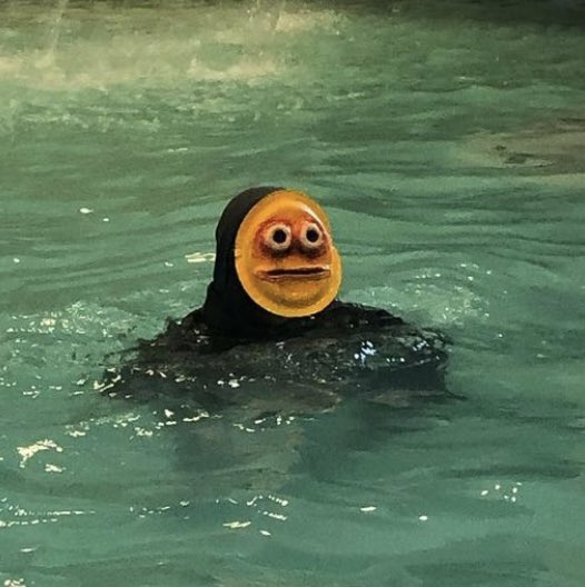 ok this is from 2019 but REALLY strong contender for new profile pic https://t.co/WIlAYPujjk