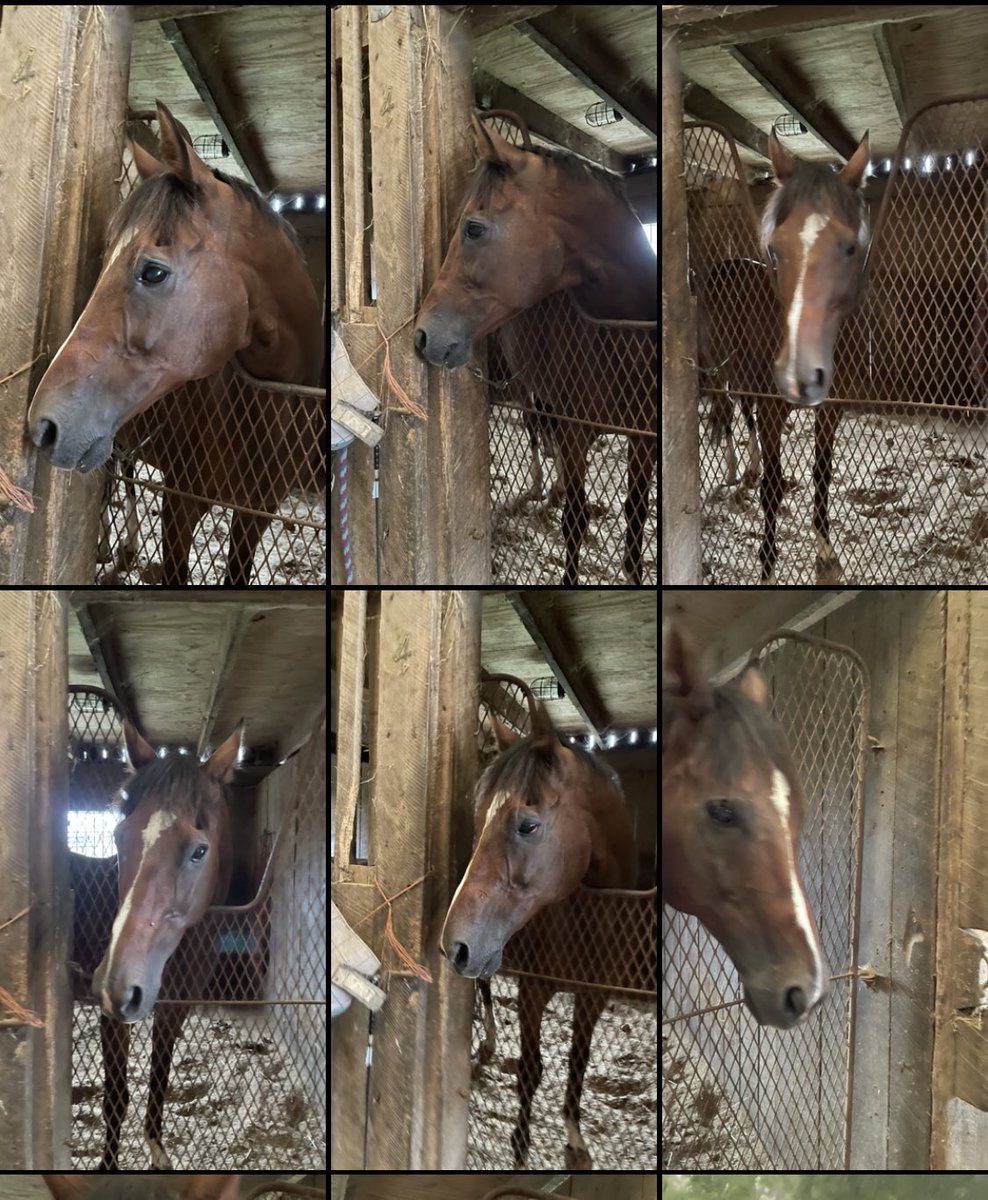 Aaron Gryder tweet media