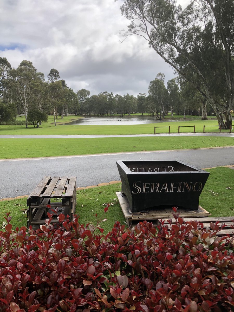 Serafino Wines (@serafinovino) on Twitter photo 