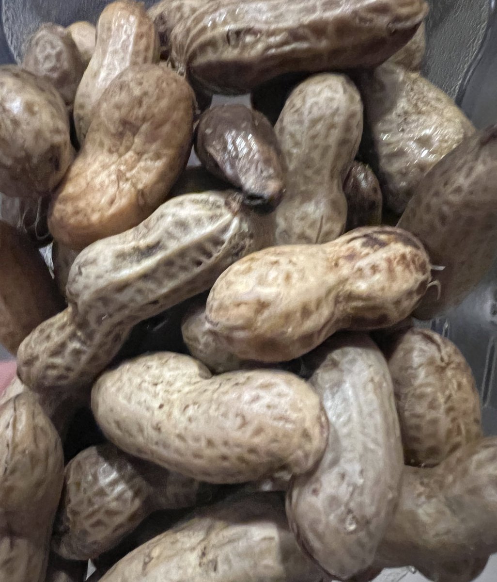 TheAnneChow's tweet photo. Heard of boiled 🥜 during a customer dinner w/clients who hailed from Georgia.🍑 Apparently the best kinds are those you get freshly boiled at roadside stands.🤨 So…we pulled over &amp; “got us some”#hotboiledpeanuts 

Verdict…
👀Visually: unappealing 
👅Taste: salty &amp; delicious https://t.co/4qWpmilPB2
