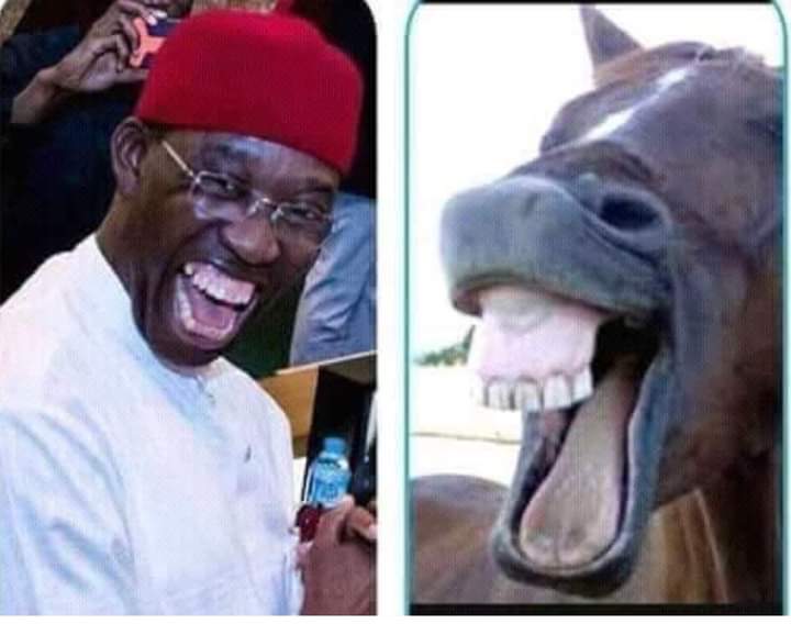 ComrTerry's tweet photo. @renoomokri Nobody go see shi shi this time around, see am, see as fear the catch u....area boys wey d look for were Dem go buy suya chop, becoz say you don d fuck up, u know ur self, fear enter you....u bost cry. Oga go and sleep joor. https://t.co/m2ozkOpCfX
