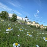 ツイートに含まれる画像