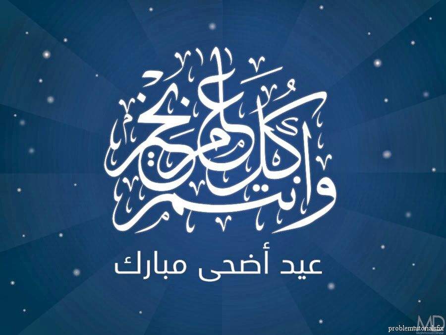 خمسيني القلب tweet media